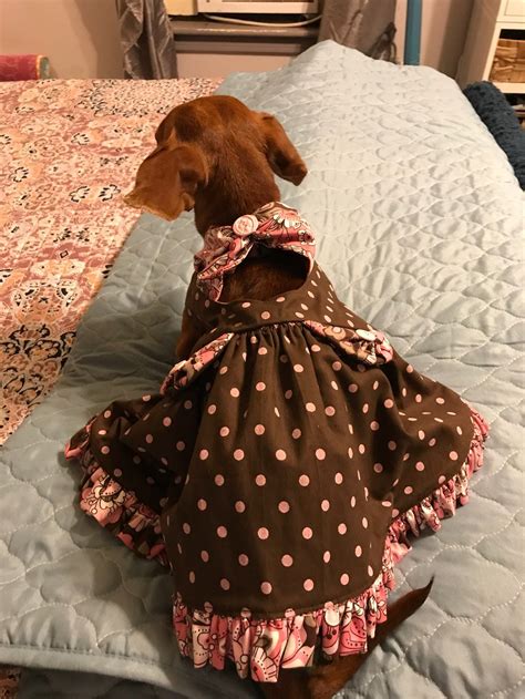 medium dog dresses|More.